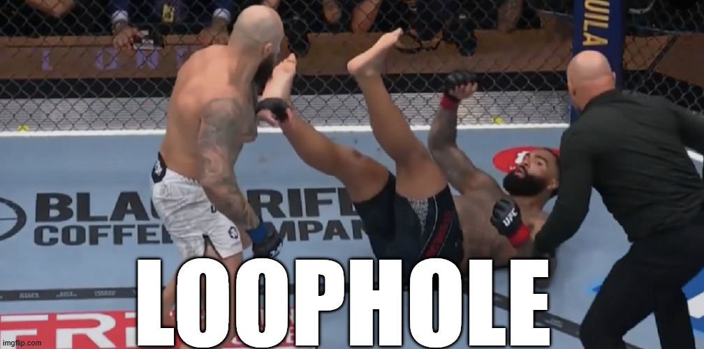 LOOPHOLE | LOOPHOLE | image tagged in ufc | made w/ Imgflip meme maker