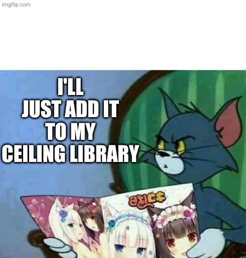 Tom | I'll just add it to my ceiling library | image tagged in tom | made w/ Imgflip meme maker