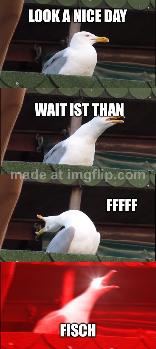 Inhaling Seagull Meme | LOOK A NICE DAY; WAIT IST THAN; FFFFF; FISCH | image tagged in memes,inhaling seagull | made w/ Imgflip meme maker
