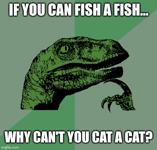 Philosoraptor | If you can fish a fish... Why can't you cat a cat? | image tagged in philosoraptor | made w/ Imgflip meme maker