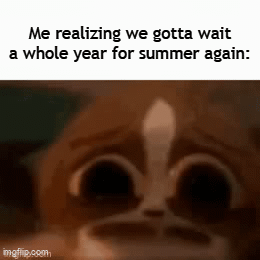The Long Wait for Summer Returns