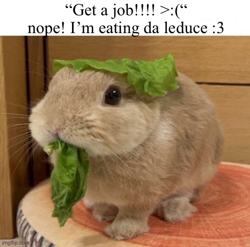 Leduce is yummy :3 | “Get a job!!!! >:(“ nope! I’m eating da leduce :3 | image tagged in memes,shitpost,cute,funny,bunny,cute animals | made w/ Imgflip meme maker