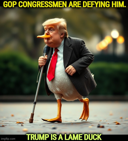 Finally! | GOP congressmen are defying him. Trump is a lame duck | image tagged in trump is a lame duck president,trump,lame,lame duck,gop,republicans | made w/ Imgflip meme maker