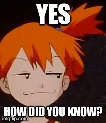Derp Face Misty | YES HOW DID YOU KNOW? | image tagged in derp face misty | made w/ Imgflip meme maker
