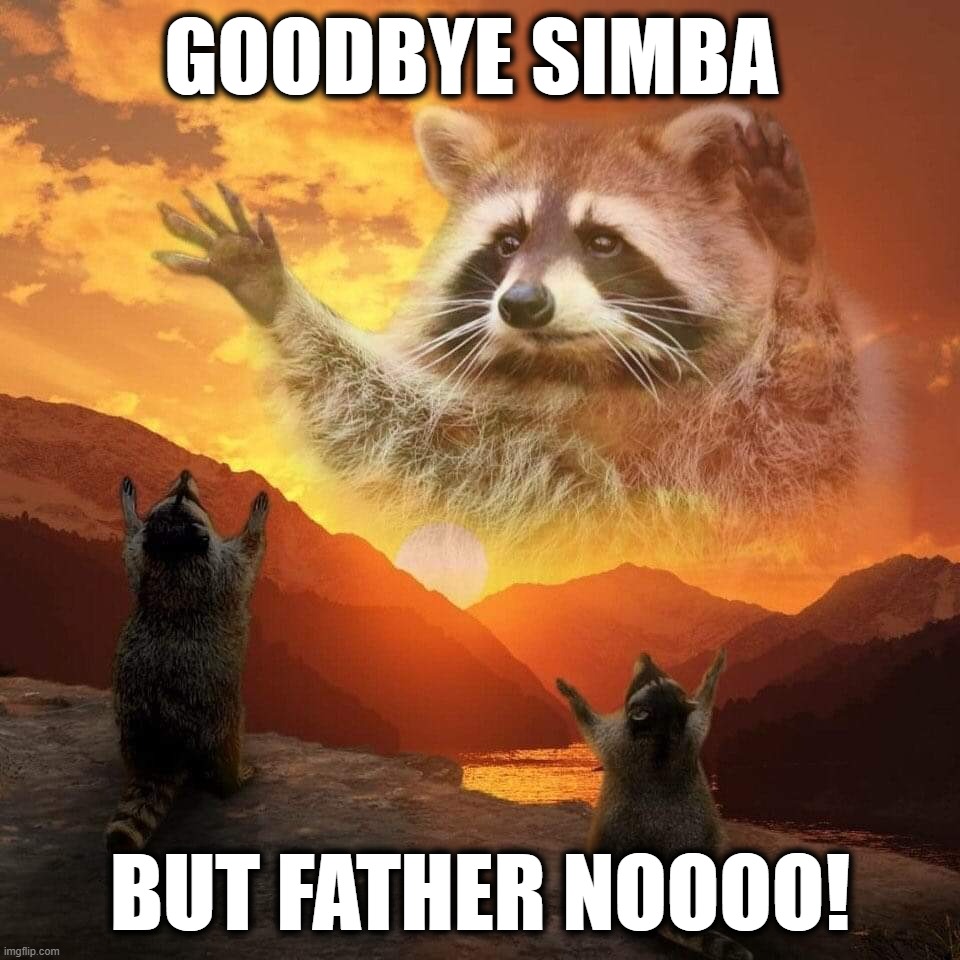 racoon praise | goodbye simba; But father noooo! | image tagged in racoon praise | made w/ Imgflip meme maker