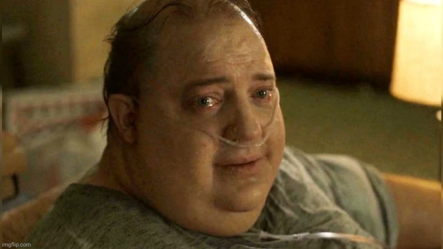 Brendan Fraser Whale Meme | image tagged in brendan fraser whale meme | made w/ Imgflip meme maker