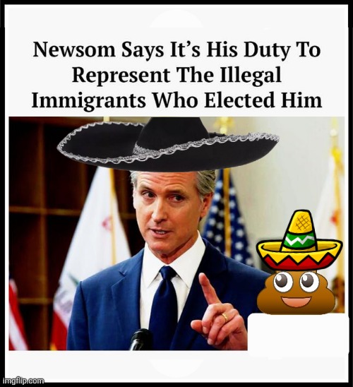 Greasy Gavin represents illegals/ revamped corporate meme | image tagged in img 65 jpeg,greasy gavin newsom,illegals,representation | made w/ Imgflip meme maker
