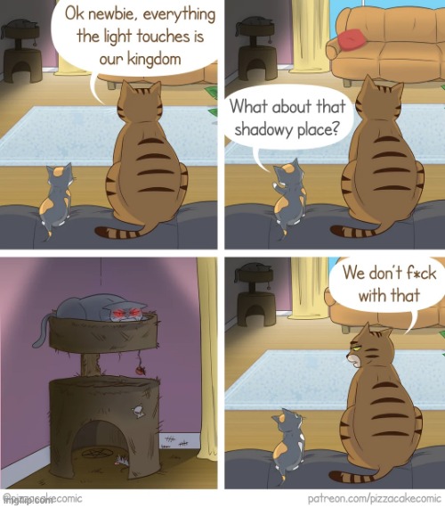 image tagged in cats,kitten,the lion king,simba shadowy place,living room,cat tower | made w/ Imgflip meme maker