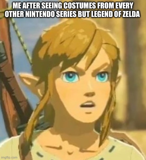 Offended Link | Me after seeing costumes from every other Nintendo series but legend of Zelda | image tagged in offended link | made w/ Imgflip meme maker