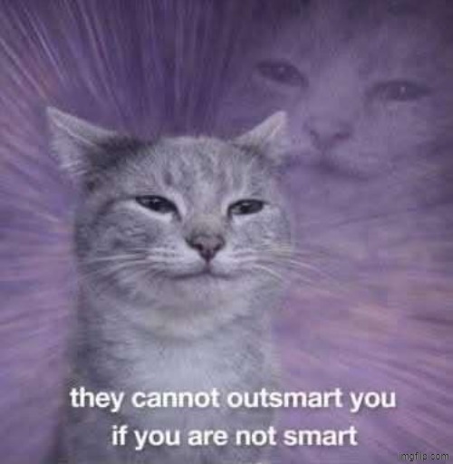 image tagged in cats | made w/ Imgflip meme maker