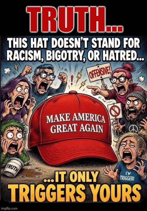 They lie about it like they do about everything else | Truth… | image tagged in political meme,maga hat,it doesnt stand for those things,racism bigotry hatred,it triggers the left,leftists | made w/ Imgflip meme maker