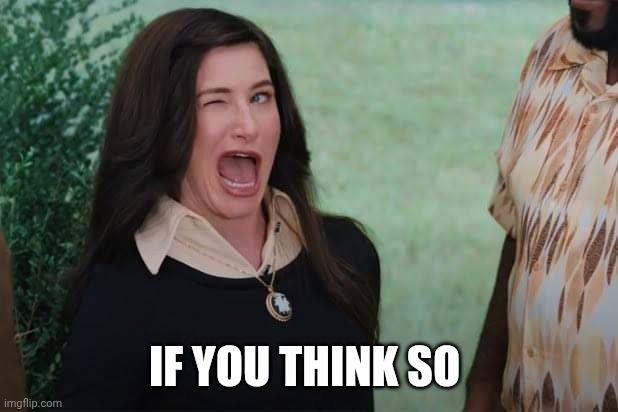 WandaVision Agnes wink | If you think so | image tagged in wandavision agnes wink | made w/ Imgflip meme maker