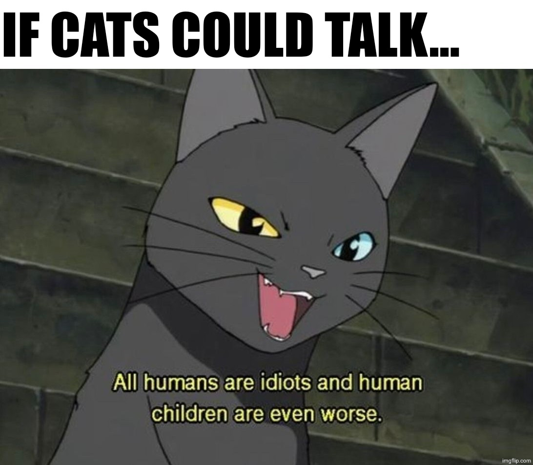 If cats could talk... | image tagged in memes,ghost stories,anime,cats | made w/ Imgflip meme maker