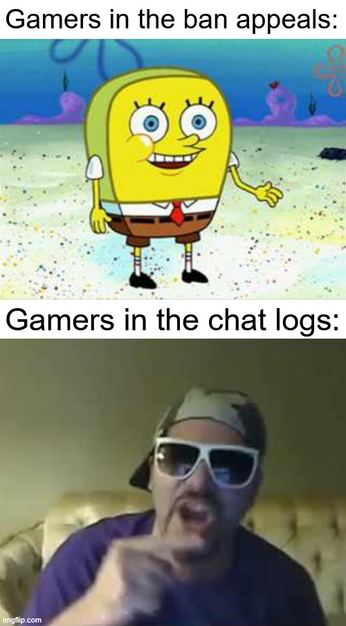 Ban Appeals | Gamers in the ban appeals:; Gamers in the chat logs: | image tagged in librewolf_k9jzkdxzit png,keemstar | made w/ Imgflip meme maker