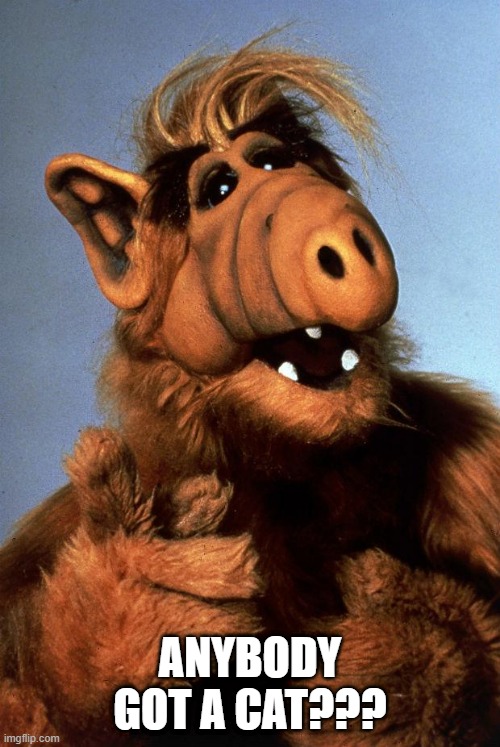 He LOVED Cats | anybody got a cat??? | image tagged in alf | made w/ Imgflip meme maker