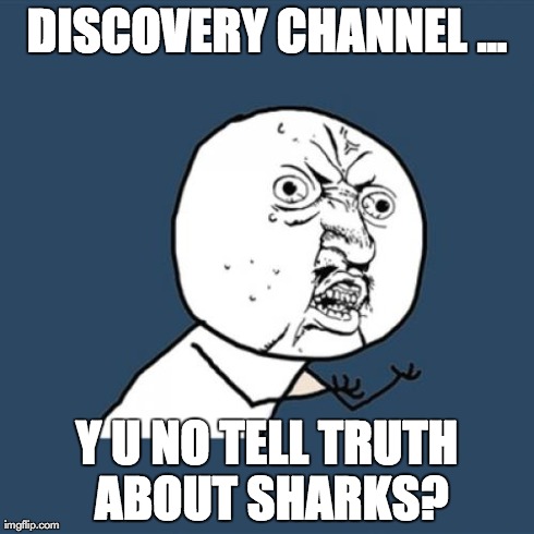 Y U No | DISCOVERY CHANNEL ... Y U NO TELL TRUTH ABOUT SHARKS? | image tagged in memes,y u no | made w/ Imgflip meme maker