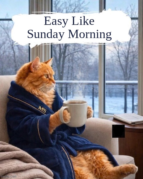 Easy Like Sunday Morning | Easy Like Sunday Morning | image tagged in ai cat relaxing with coffee,sunday morning,coffee,relaxing | made w/ Imgflip meme maker
