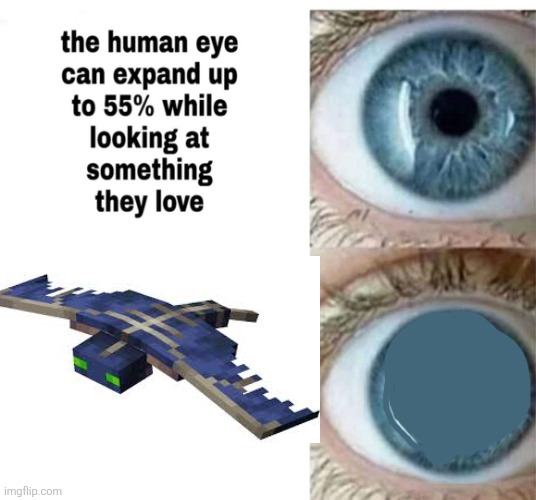 They suck | image tagged in human eye,minecraft memes | made w/ Imgflip meme maker
