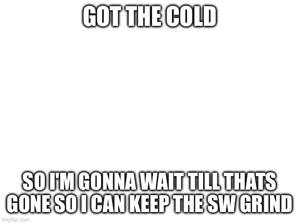 Got the cold; So I'm gonna wait till thats gone so I can keep the sw grind | image tagged in gd | made w/ Imgflip meme maker