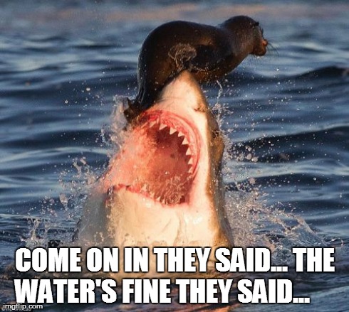 Travelonshark Meme | COME ON IN THEY SAID...
THE WATER'S FINE THEY SAID... | image tagged in memes,travelonshark | made w/ Imgflip meme maker