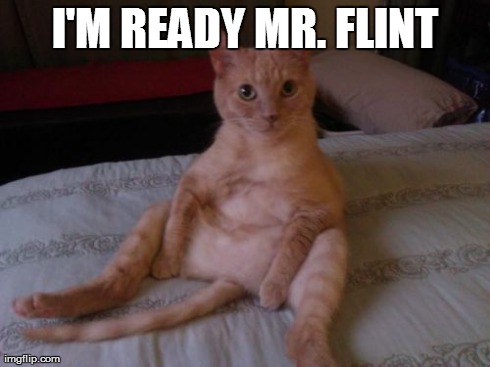 Chester The Cat | I'M READY MR. FLINT | image tagged in memes,chester the cat | made w/ Imgflip meme maker