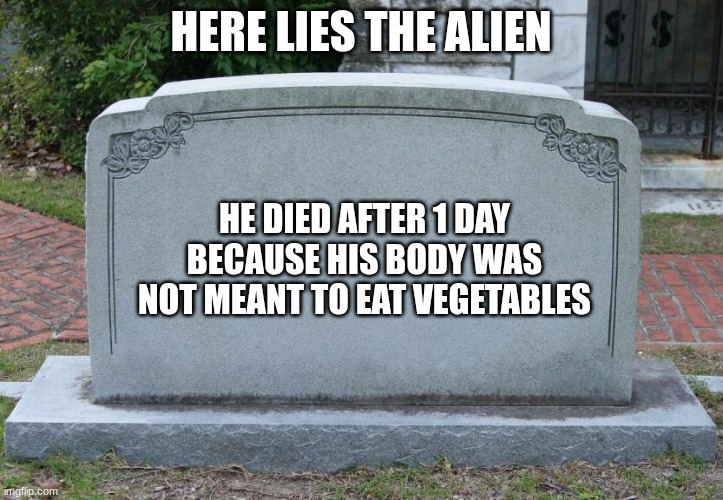 Gravestone | here lies the alien he died after 1 day because his body was not meant to eat vegetables | image tagged in gravestone | made w/ Imgflip meme maker