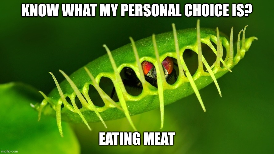 Venus Fly Trap | know what my personal choice is? eating meat | image tagged in venus fly trap | made w/ Imgflip meme maker