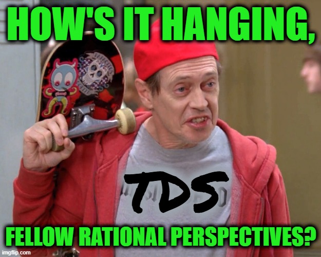 How's it hanging, Fellow rational perspectives? TDS | image tagged in steve buscemi fellow kids | made w/ Imgflip meme maker