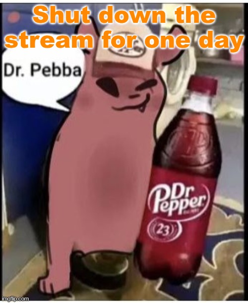 Dr. Pebba | Shut down the stream for one day | image tagged in dr pebba | made w/ Imgflip meme maker
