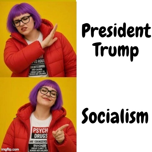 Typical Libturd | President Trump Socialism | image tagged in typical libturd | made w/ Imgflip meme maker