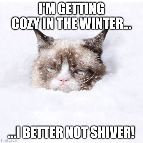 Stay warm in the winter and plan a holiday shopping spree! | I'm getting cozy in the winter... ...I better not shiver! | image tagged in grumpy cat snow,cats,winter,snow,warm | made w/ Imgflip meme maker