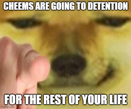 Cheems Pointing At You | Cheems are going to detention; For the rest of your life | image tagged in cheems pointing at you,memes,funny | made w/ Imgflip meme maker