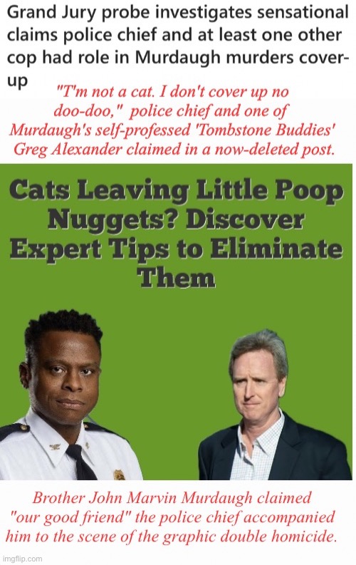Appropriately Named Buddy | image tagged in low country litter box | made w/ Imgflip meme maker