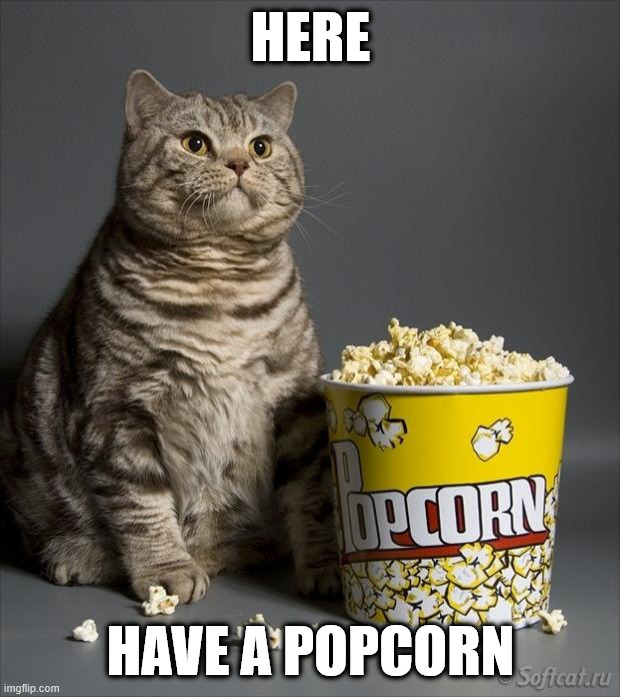 Cat eating popcorn | here have a popcorn | image tagged in cat eating popcorn | made w/ Imgflip meme maker