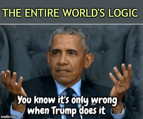 Dingle Barry it's only wrong when Trump does it | the entire world's logic | image tagged in dingle barry it's only wrong when trump does it | made w/ Imgflip meme maker