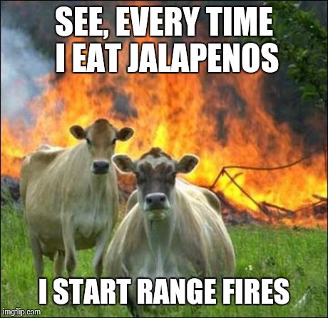 Evil Cows Meme | SEE, EVERY TIME I EAT JALAPENOS I START RANGE FIRES | image tagged in memes,evil cows | made w/ Imgflip meme maker