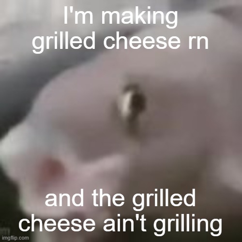 I adjusted the temp like 5+ times | I'm making grilled cheese rn; and the grilled cheese ain't grilling | image tagged in fih | made w/ Imgflip meme maker