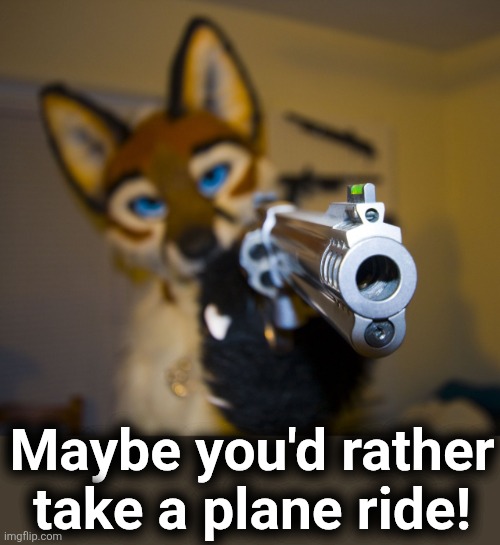 Furry with gun | Maybe you'd rather
take a plane ride! | image tagged in furry with gun | made w/ Imgflip meme maker