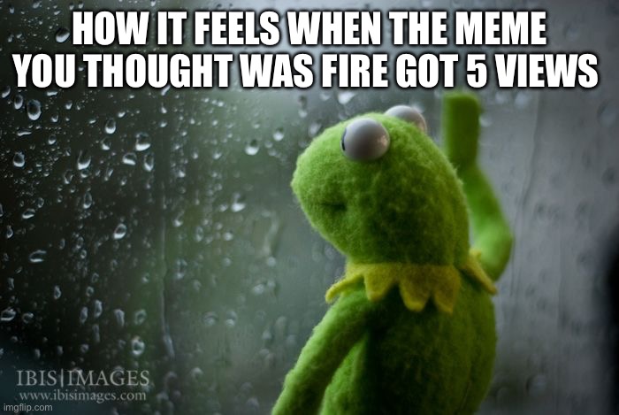 :( | How it feels when the meme you thought was fire got 5 views | image tagged in kermit window | made w/ Imgflip meme maker