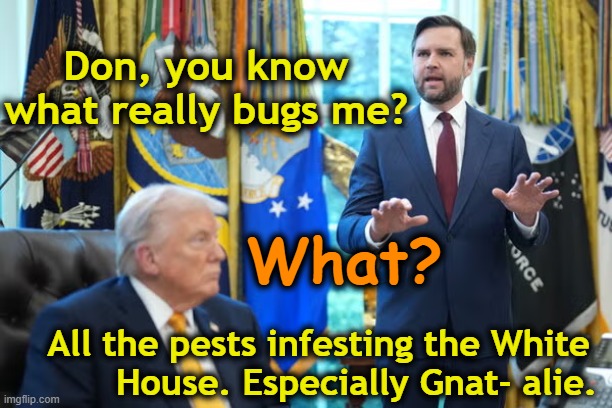 What Bugs Us About the White House | Don, you know what really bugs me? What? All the pests infesting the White        House. Especially Gnat- alie. | image tagged in funny trump meme,maga,donald trump is an idiot,presidential alert,state of the union,jd | made w/ Imgflip meme maker