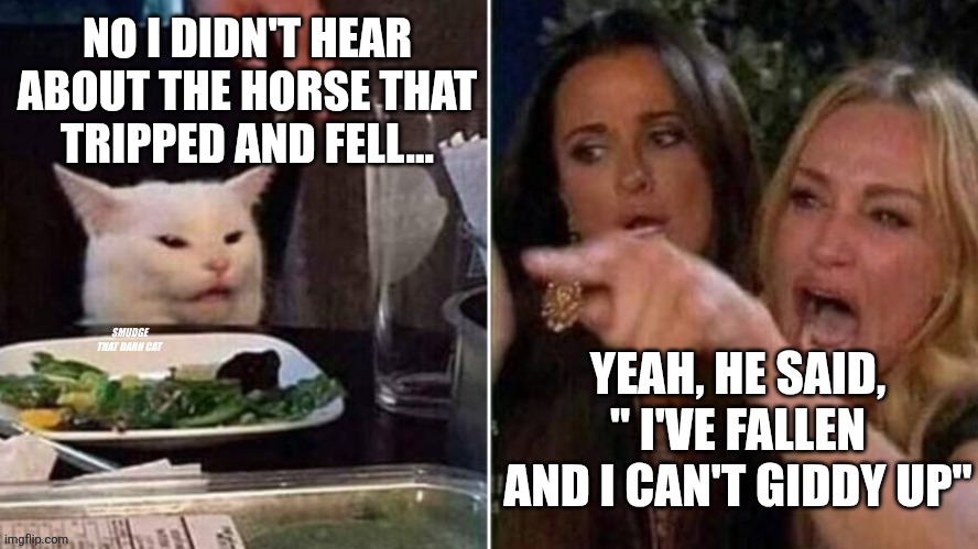 Reverse Smudge that darn cat | No I didn't hear about the horse that tripped and fell... Yeah, he said, " I've fallen and I can't giddy up" | image tagged in reverse smudge that darn cat | made w/ Imgflip meme maker