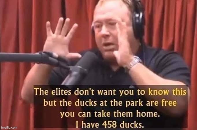 Alex jones free ducks | image tagged in alex jones free ducks | made w/ Imgflip meme maker