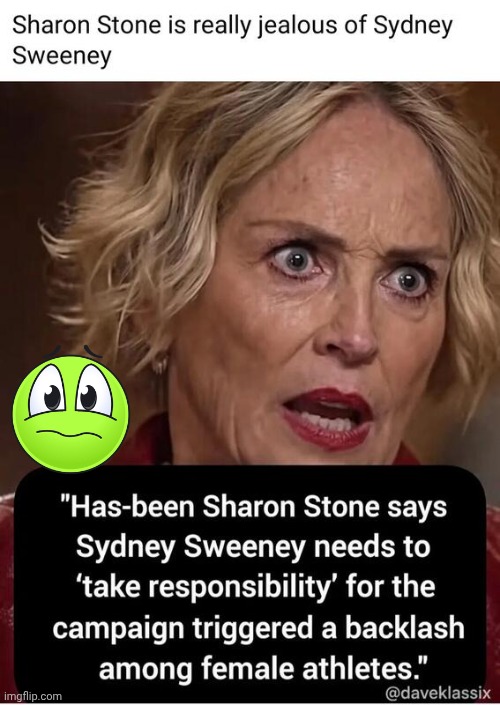 Sharon Stone is jealous | image tagged in img 9 jpeg,sharon stone,jealousy | made w/ Imgflip meme maker
