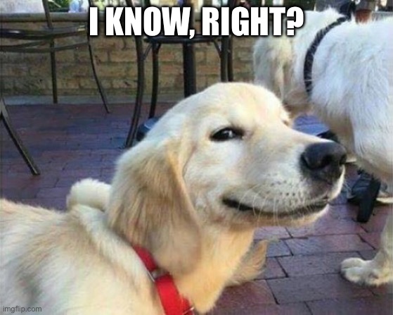 dog smiling | I know, right? | image tagged in dog smiling | made w/ Imgflip meme maker