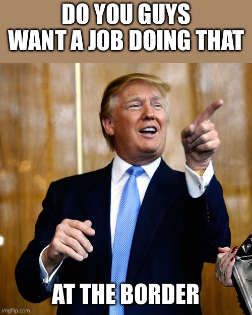 Do you guys want a job doing that At the border | image tagged in donal trump birthday | made w/ Imgflip meme maker