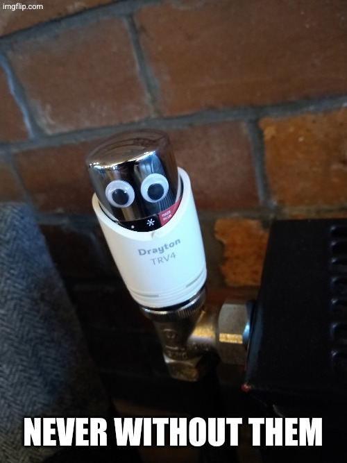 Googly eyes | Never without them | image tagged in googly eyes | made w/ Imgflip meme maker