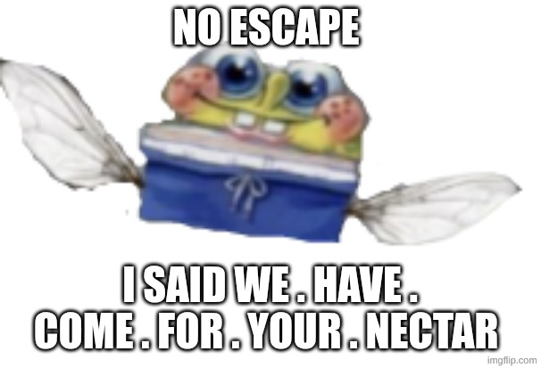 no escape I said we . have . come . for . your . nectar | image tagged in spongefly | made w/ Imgflip meme maker