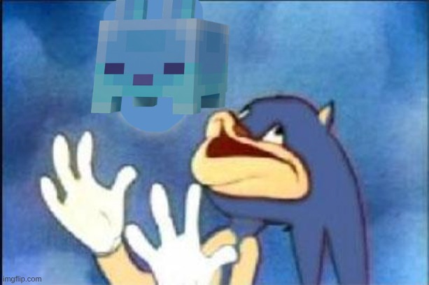 B L U B S | image tagged in sonic derp | made w/ Imgflip meme maker