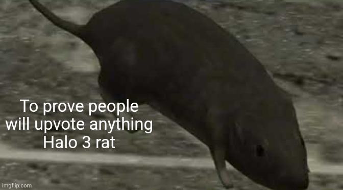 ... | To prove people will upvote anything
Halo 3 rat | image tagged in halo 3 rat | made w/ Imgflip meme maker