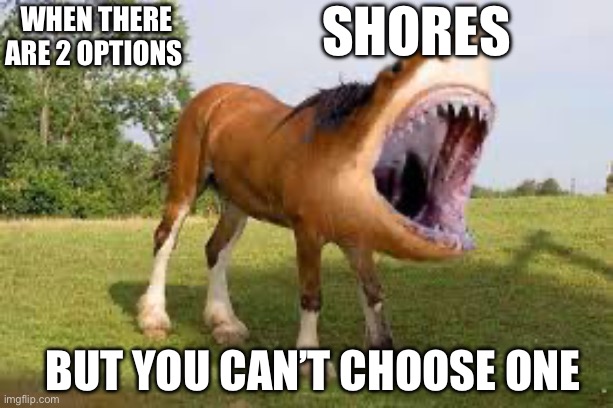 IMG_0561.jpeg | Shores; When there are 2 options; But you can’t choose one | image tagged in img_0561 jpeg | made w/ Imgflip meme maker